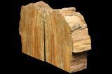 Tall, Arizona Petrified Wood Bookends - Arizona #180246-1